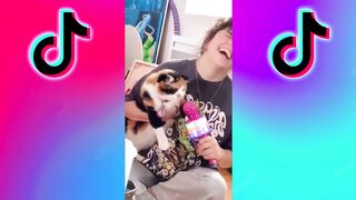 TikToks Try Not To Laugh Best Funny Videos 2022 part 3