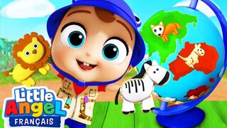 L’habitat des animaux | Comptines Avec bebe Louis | little angel Francais