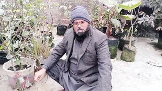 , پرانے پودے کے گملے کی کیسے گوڈی کی جاتی ہے