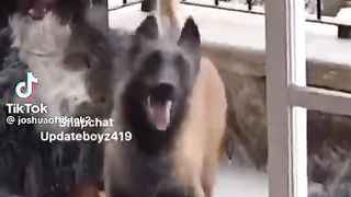 Different dance