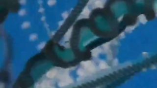 Deadly Portuguese Man O' War Jellyfish Up Close