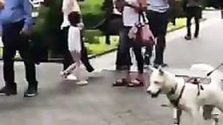 Funny Win