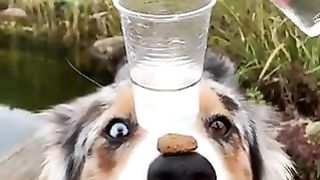 Funny Win