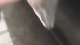 Funny Win