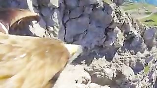Funny Win