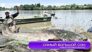 Новые мировые рекорды, огромные трофеи