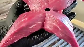 Funny Win