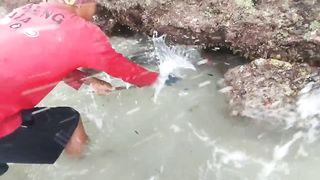 Berburu Ditengah Cuaca Extrim, Ribuan Ikan Bermain Diantara Badai Dan Gelombang .
