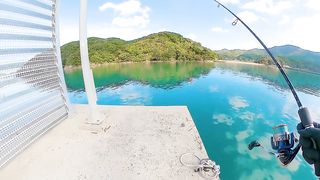 誰もいない小さな堤防は、美味い魚が湧く穴場だった