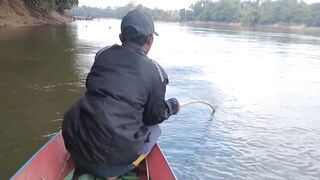 TIDAK DISANGKA DAPAT SAMBARAN DARI BAWAH POHON TUMBANG INI