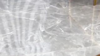 funny videos Pja