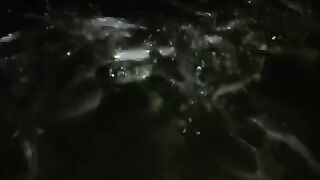 Budidaya lele skala kecil jual lele konsumsi di ecer saja, biar gak ditekuk tengkulak ????
