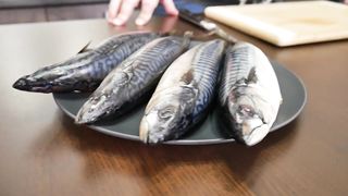 СКУМБРИЯ вкуснее КРАСНОЙ РЫБЫ. РЕЦЕПТ за КОПЕЙКИ. Мурманское САЛО