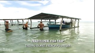Polynesian fishing_ From the ocean to Papeete’s market _ SLICE