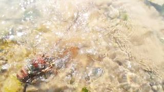 At low tide, lobsters line the beach. Pearls in blue shellfish.