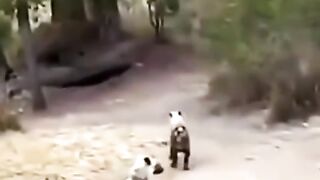 2 beautiful moves.--___fikirbul2023 _keşfet _fyp _reels _komedi _caps _tiktok _video _eglence _mutluluk _vine