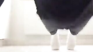 Sagawa1gou_funny_video_????????????___SAGAWA_Best_Shorts_2024_#shorts(360p)(7).