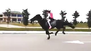Funny Win