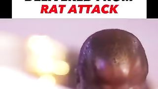 How a man tormented by  an Evil Rat