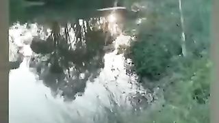 Funny_Animal_Videos_2024_????_-_Funniest_Dogs_and_Cats_Videos_????(360p)(16).