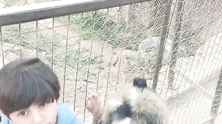 Beautiful zoo