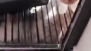 Funny_Animal_Videos_2024_????_-_Funniest_Dogs_and_Cats_Videos_????(360p)(4).