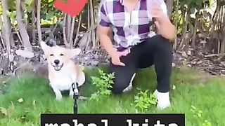 Funny_Animals_2024_????_try_not_to_laugh_????_#youtubeshorts_#viralshort_????(360p).
