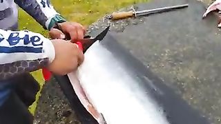 Funny Win