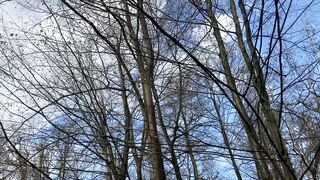 "Serenade of the Earth: A Cinematic Overture to Nature's Eternal Beauty ???????? #NatureCinematics #VisualElegance"