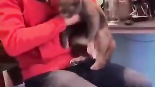 Funny_cat_and_dogs_????????_episode_153_#cat_#pet_#funny_#shorts(360p).