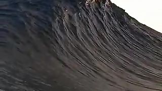 Funny Win
