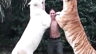 Funny Win