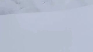 Winter & Autos