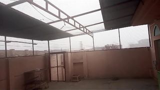 The little house of birds