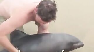 Funny Win