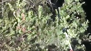 Funny Win