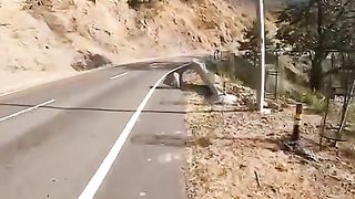 Biker crashed with a dog