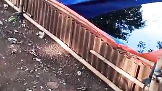 Selalu jaga kebersihan dan kerapihan area kolam kalian itu salah satu keberhasilan