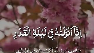 القرآن الکریم????