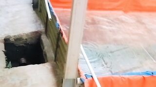 Jadi pembudidaya ikan lele harus pandai membaca situasi dan menyatu dengan alam❗Jangan melawan alam