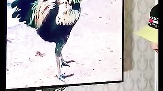 Funny_moment_????#funny_#shorts(360p)(18).