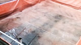 LUMUT KOLAM❗Ini positif dan negatifnya bagi budidaya ikan lele