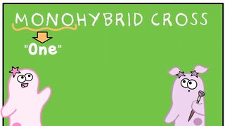 Amoeba Sisters: Genetypes and Phenotypes