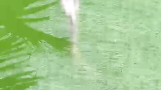 Penyebab Ikan lele terkena penyakit itu banyak faktornya❗Obatnya pun banyak macamnya