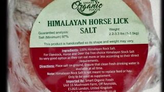 Assimilating Himalayan Pet Salt into Your Pet's Existence - Made with Clipchamp