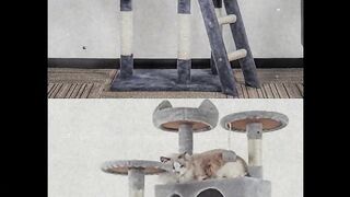 Indoor Pet Activity Furniture Play House for Kitty Kitten