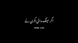 Agar aik seeng