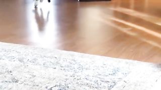 Funny vidéo 100% guaranteed laughter