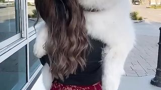 Carrying a Puppy for Five Years...See what happens next.