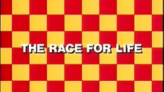 Speed Racer - A Corrida Pela Vida